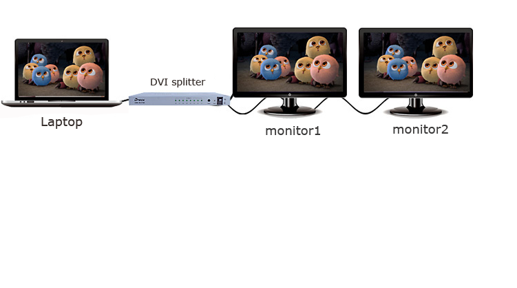 Laptop DVI splitter