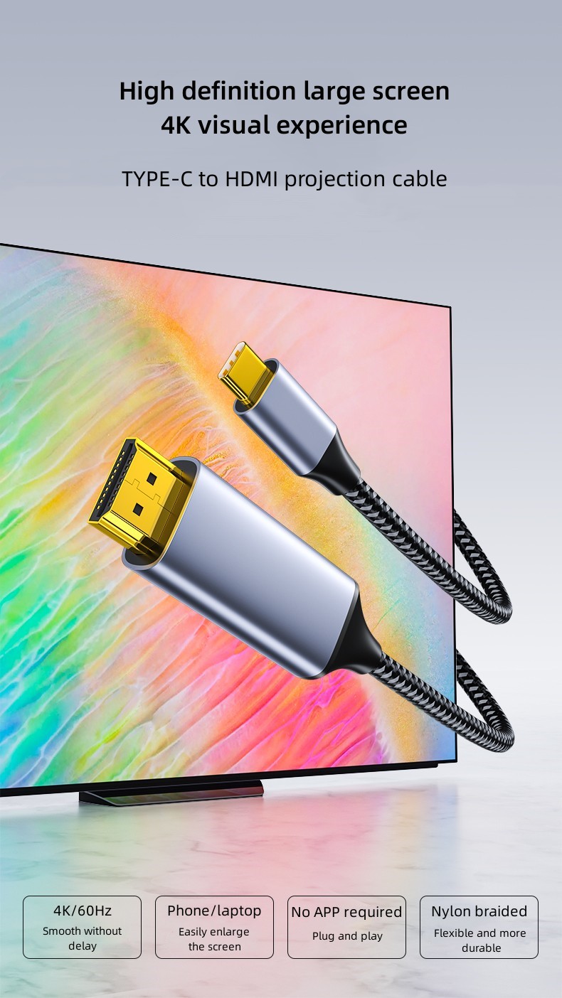 Type C to HDMI Conversion Cable